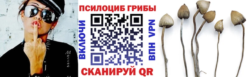 Псилоцибиновые грибы прущие грибы  Купить где  Пласт 